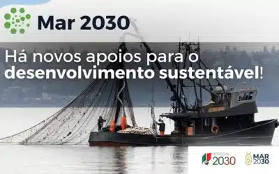 Mar 2030: há novos apoios para o desenvolvimento sustentável!