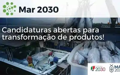 Mar 2030: Candidaturas abertas para transformação de produtos!