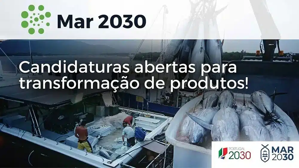 Mar 2030: Candidaturas abertas para transformação de produtos!