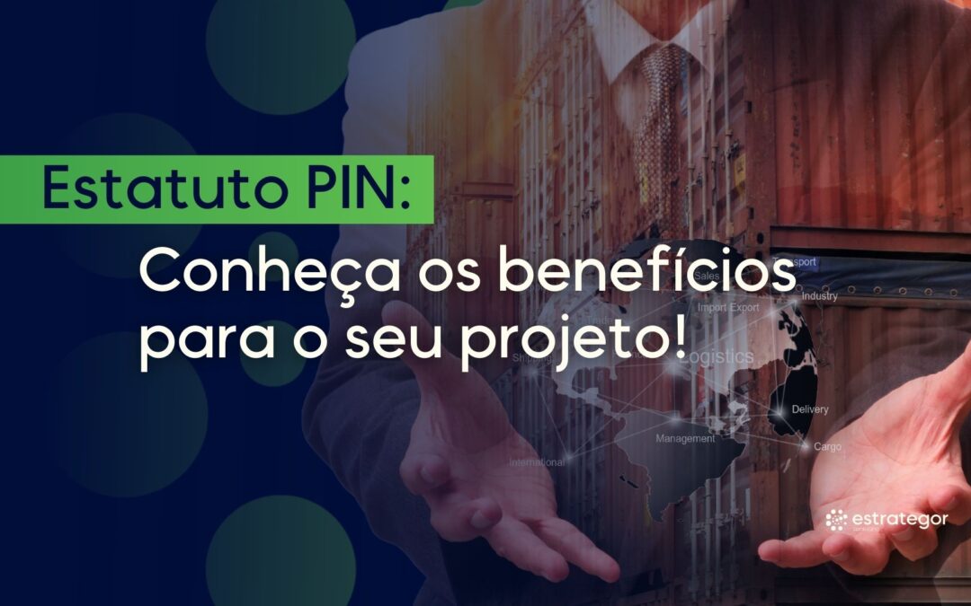 Estatuto PIN: conheça os benefícios para o seu projeto!