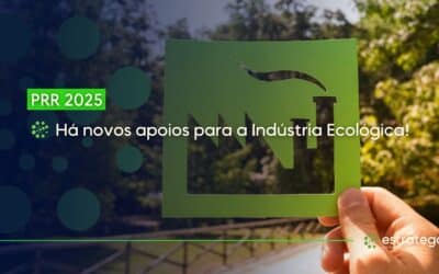 PRR 2025: Há novos apoios para a Indústria Ecológica!